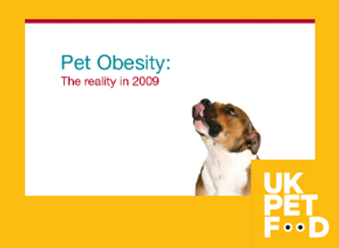 Yellow frame with logo_Obesity Rep 2009.png