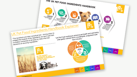 Sustainability handbook explainer slides.png