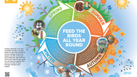 UK Pet Food Bird Feeding Seasonality poster red.png