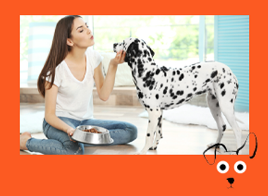 DOG frame with illus_IMAGE BUTTON not text_Dalmatian+woman.png