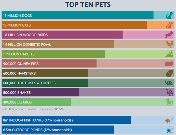 what percentage of the uk population have dogs