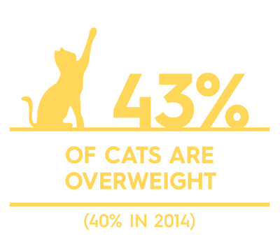 Obesity % by species_Cat.png