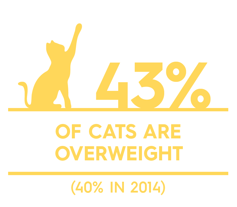 Obesity % by species_Cat.png