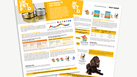 UKPF Fact Sheet - Ingredients - Proteins.png