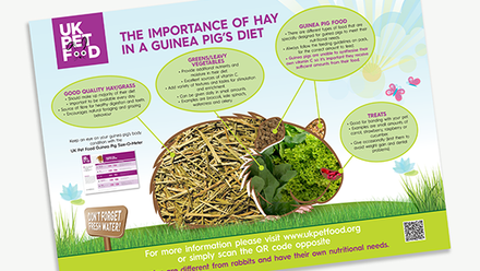 UKPF Poster - Importance of hay - Guinea Pigs.png