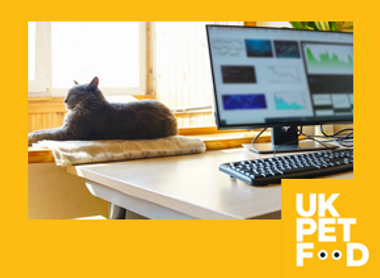 Yellow frame with logo_IMAGE BUTTON not text_Cat desk laptop.png