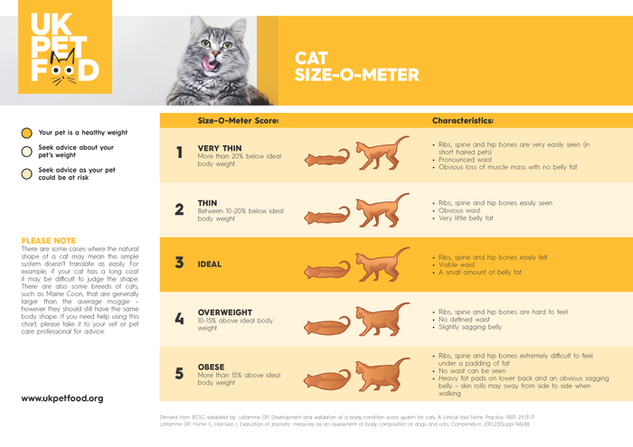 Cat Size-O-Meter