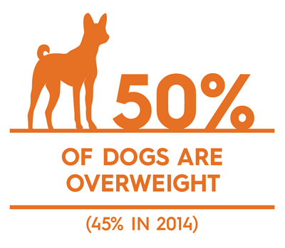 Obesity % by species_Dog.png