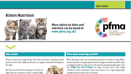 kitten nutrition factsheet.png