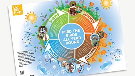 UKPF Poster - Feeding wild birds throughout the year.png