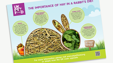 UKPF Poster - Importance of hay - Rabbits.png