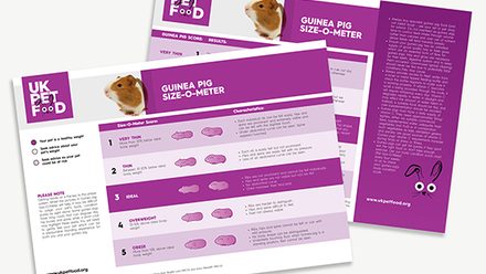 UKPF Size-O-Meter - Sizing chart - Guinea Pigs.png