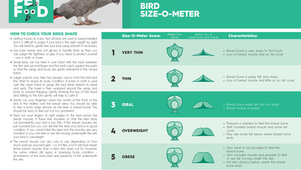 UK Pet Food Bird Size-O-Meter_Page_1.jpg