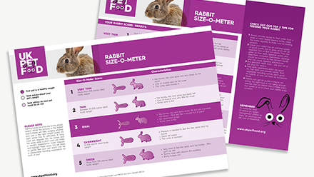 UKPF Size-O-Meter - Sizing chart - Rabbits.png