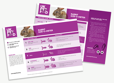 UKPF Size-O-Meter - Sizing chart - Rabbits.png