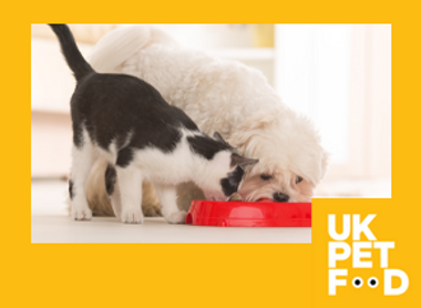 Yellow frame with logo_IMAGE BUTTON not text_Dog+cat red bowl.png