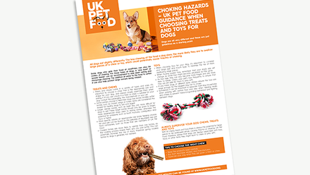 UKPF Fact Sheet - Choking hazards - Dogs.png