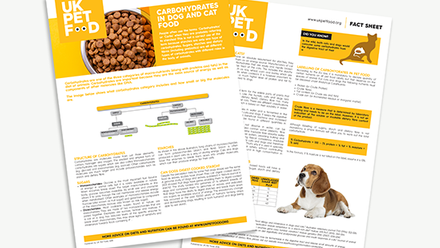 UKPF Fact Sheet - Ingredients - Carbs - Dog+Cat food.png