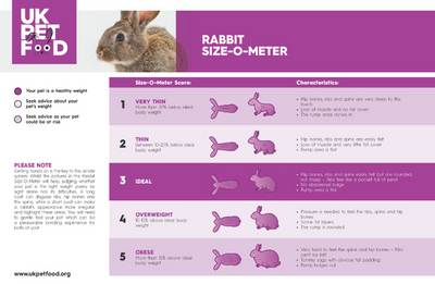 What Shape Is Your Rabbit In?