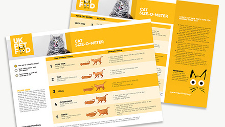 UKPF Size-O-Meter - Sizing chart - Cats.jpg