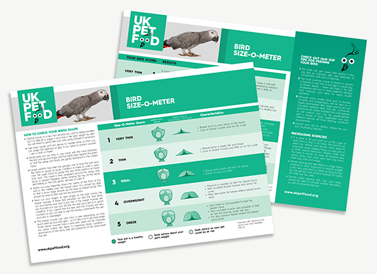 UKPF Size-O-Meter - Sizing chart - Birds.png