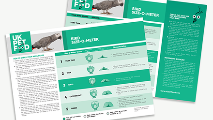 UKPF Size-O-Meter - Sizing chart - Birds.png