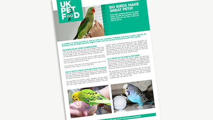 UKPF Fact Sheet - Do birds make great pets.png