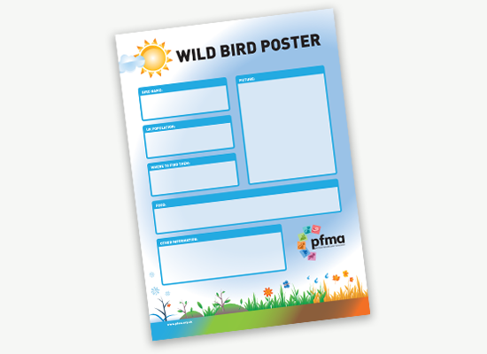 PFMA Poster - My favourite Wild Bird.png