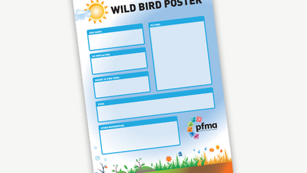 PFMA Poster - My favourite Wild Bird.png