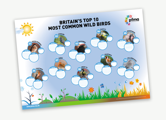 PFMA Worksheet - Top 10 Wild Birds.png