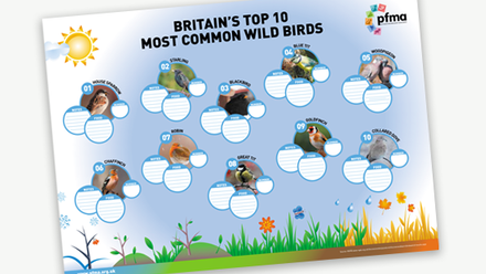 PFMA Worksheet - Top 10 Wild Birds.png